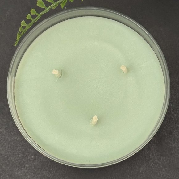 BBW Hibiscus Waterfalls Bath & Body Works 3 Wick Candle - Picture 7 of 10